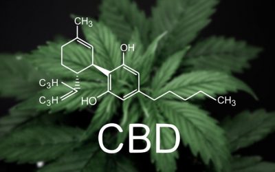 Buyer Beware: CBD, THC and Drug Testing